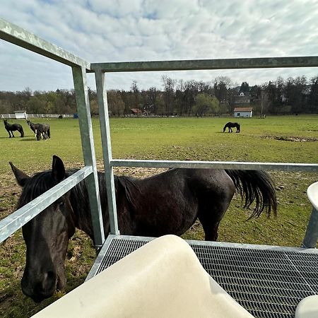 Glamping - Stylova Maringotka V Srdci Ladova Kraje, Pobliz Hlavniho Mesta Prahy Stribrna Skalice Exterior foto