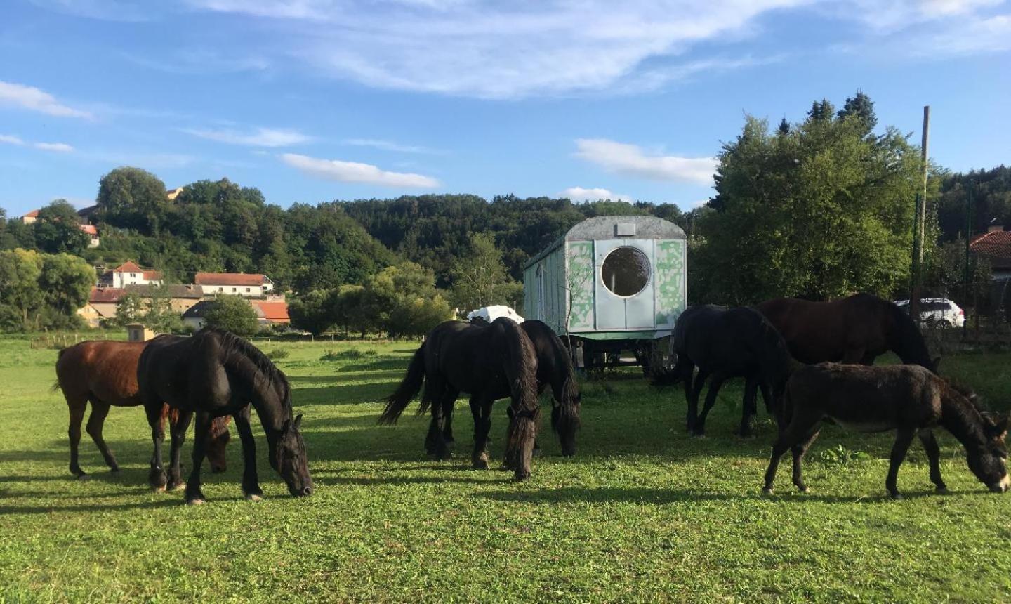 Glamping - Stylova Maringotka V Srdci Ladova Kraje, Pobliz Hlavniho Mesta Prahy Stribrna Skalice Exterior foto